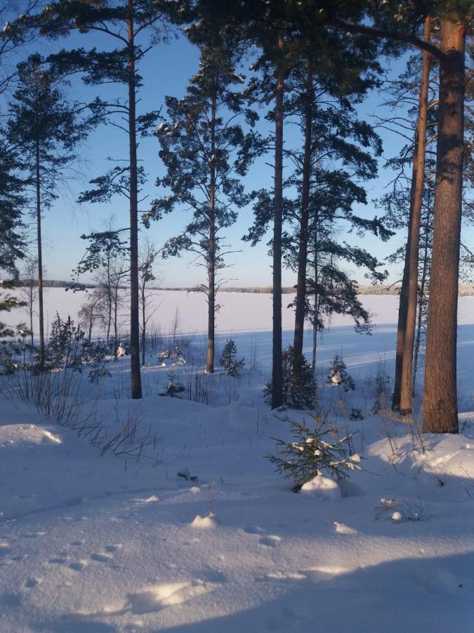 Vinsanvilla Aamiaismajoitus